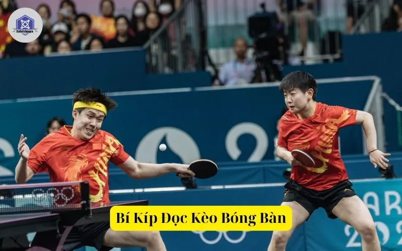 Bí Kíp Đọc Kèo Bóng Bàn