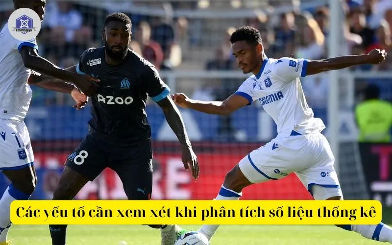 Các yếu tố cần xem xét khi phân tích số liệu thống kê