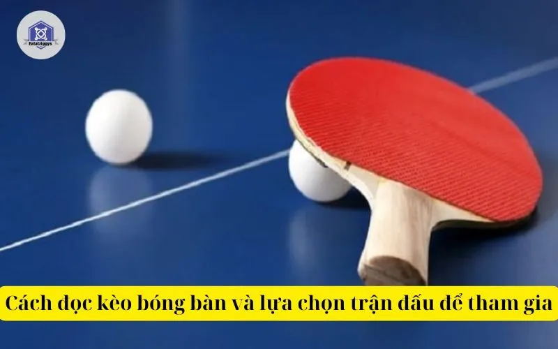 Cách đọc kèo bóng bàn và lựa chọn trận đấu để tham gia