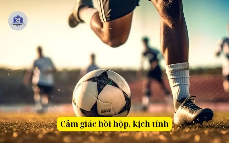 Cảm giác hồi hộp và kịch tính