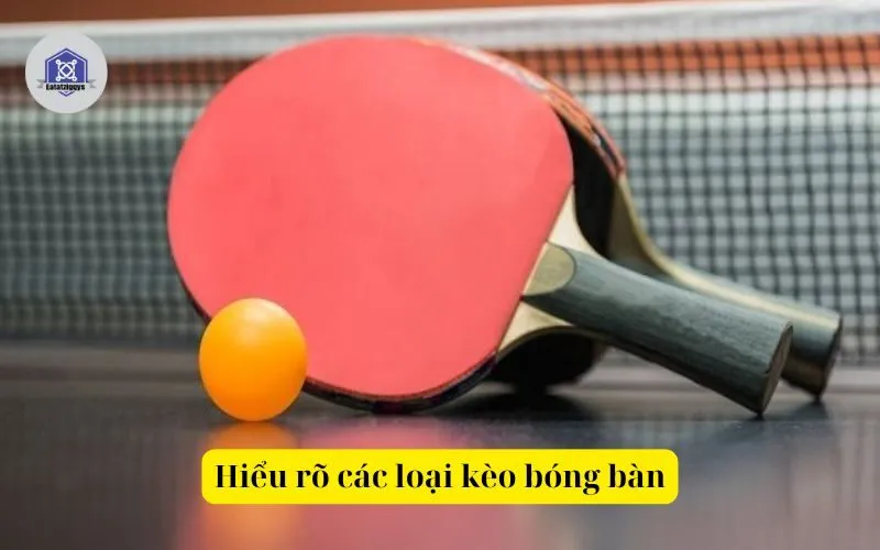 Hiểu rõ các loại kèo bóng bàn