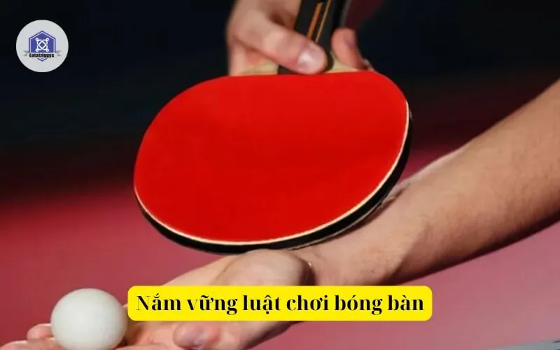 Nắm vững luật chơi bóng bàn