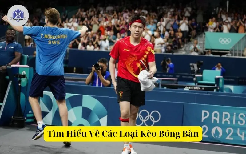 Tìm Hiểu Về Các Loại Kèo Bóng Bàn