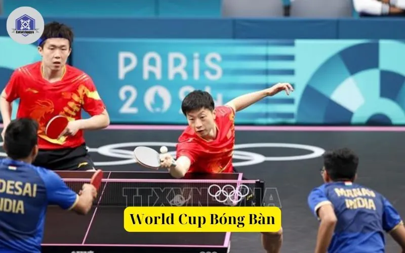 World Cup Bóng Bàn