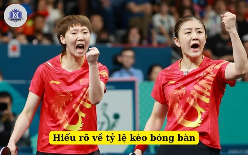 Hiểu rõ về tỷ lệ kèo bóng bàn