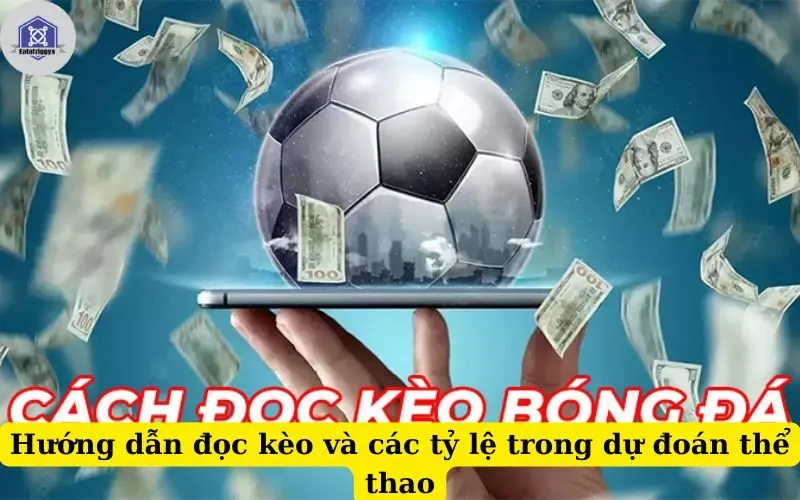 Hướng dẫn đọc kèo và các tỷ lệ trong dự đoán thể thao