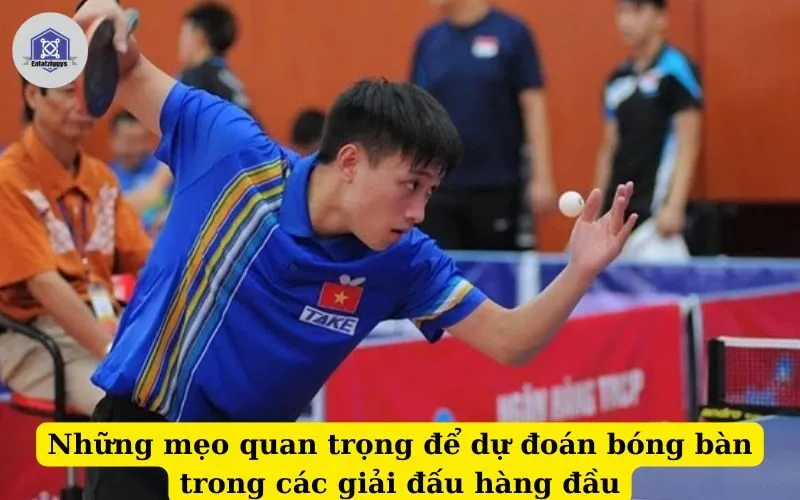 Những mẹo quan trọng để dự đoán bóng bàn trong các giải đấu hàng đầu