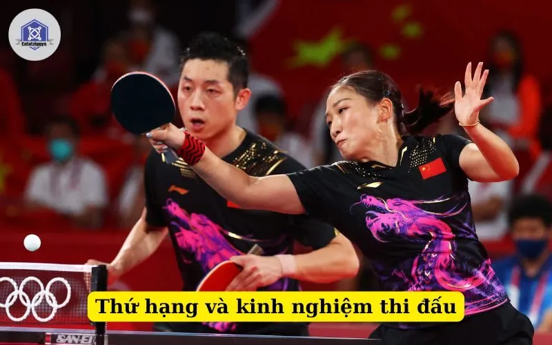 Thứ hạng và kinh nghiệm thi đấu
