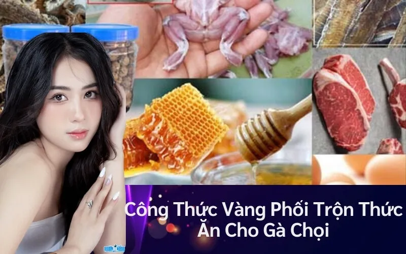 Tìm kiếm:Bảo Vệ Chiến Kê: Các Phương Pháp Phòng Bệnh Hiệu Quả
