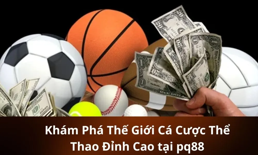 Khám Phá Thế Giới Cá Cược Thể Thao Đỉnh Cao tại pq88