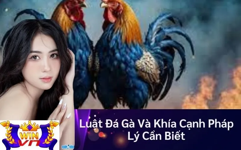Luật Đá Gà Và Khía Cạnh Pháp Lý Cần Biết