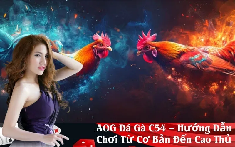 AOG Đá Gà C54 – Hướng Dẫn Chơi Từ Cơ Bản Đến Cao Thủ