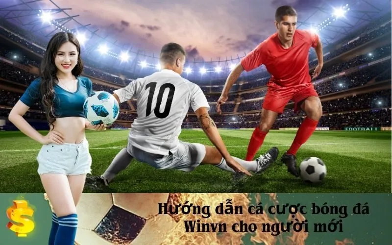 Hướng dẫn cá cược bóng đá Winvn cho người mới