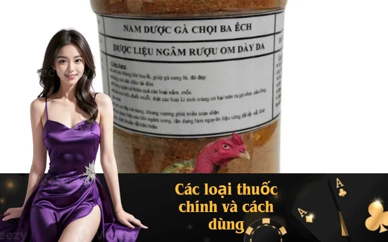 Các loại thuốc chính và cách dùng