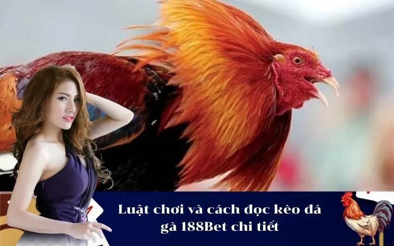 Luật chơi và cách đọc kèo đá gà 188Bet chi tiết