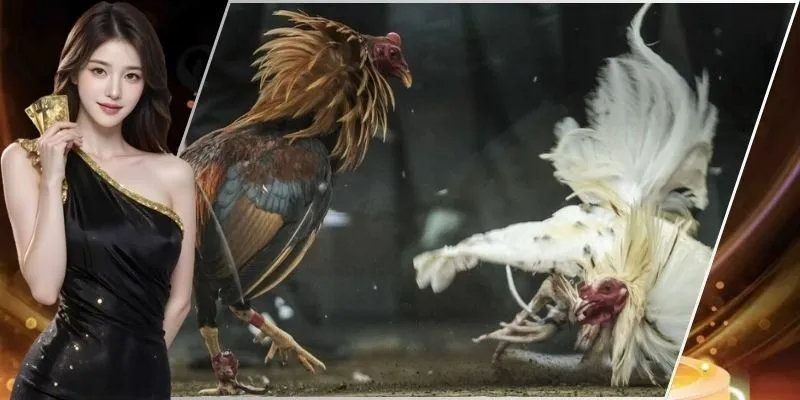 quản lý vốn chuẩn