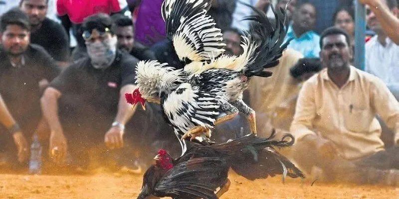 quy tắc công bằng 